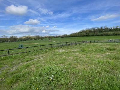 Equestrian Facilities Over 18 Hectares
