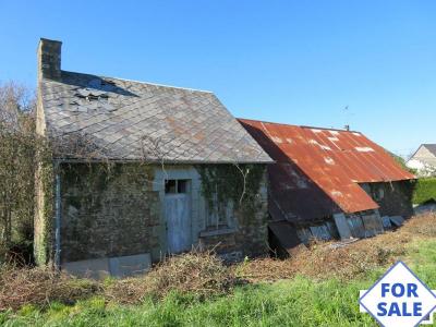Countryside Barn for Full Renovation