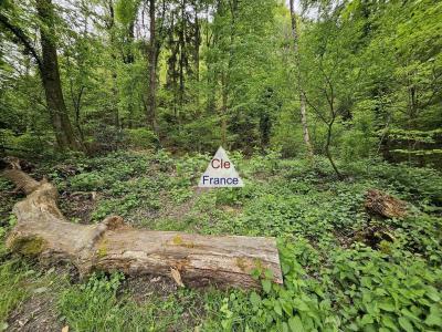 Woodland For Sale with Stream and Waterfall