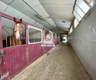 Equestrian Property set in 12 Hectares of Land