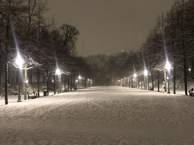 Snowy Scene at Christmas Snowy Scene