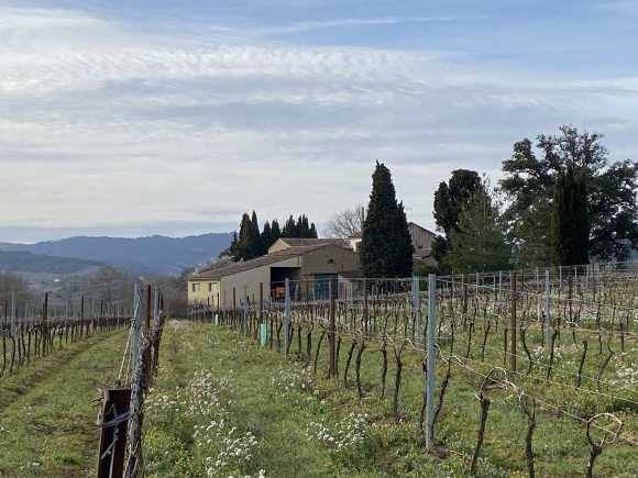 Exceptional Property with Land