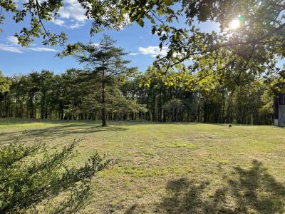 Building Plot For Sale in Lovely Setting