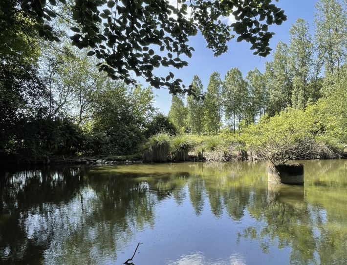 Leisure Land with Fishing Lake and Woodland
