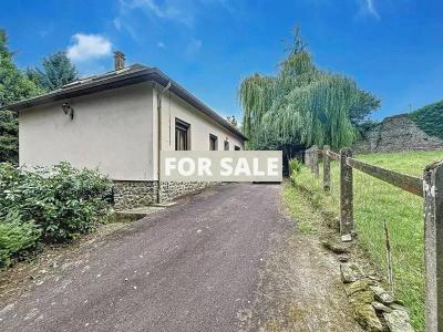 Detached House with Garden