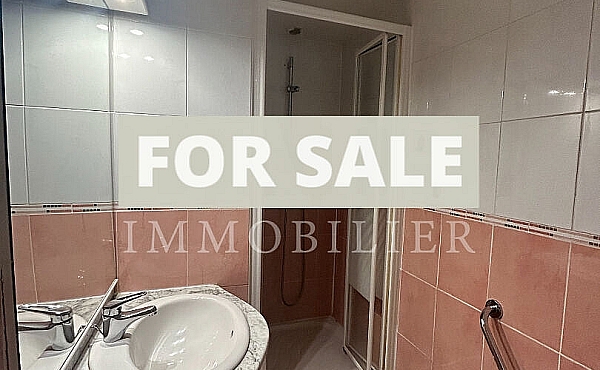 Property_For_Sale_in_France-with_Cle_France_Join_our_mailing_List_DJV05662_e
