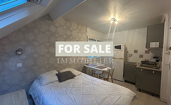 Property_For_Sale_in_France-with_Cle_France_Join_our_mailing_List_DJV05662_l