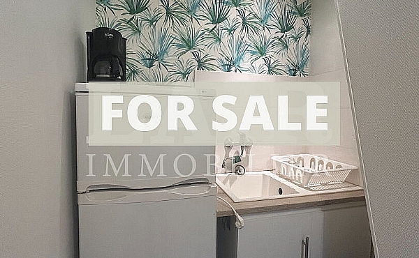Property_For_Sale_in_France-with_Cle_France_Join_our_mailing_List_DJV05662_n