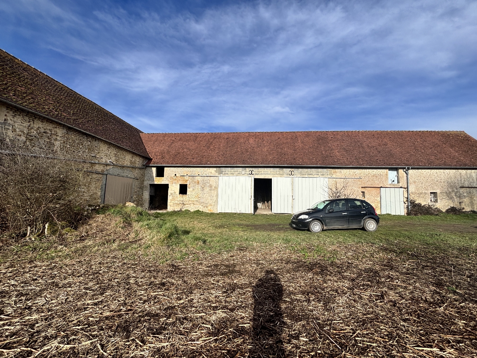 Large Renovation Project with Potential
