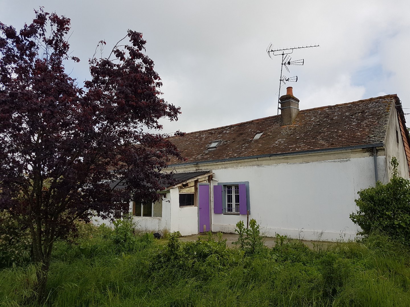 Detached House with Garden