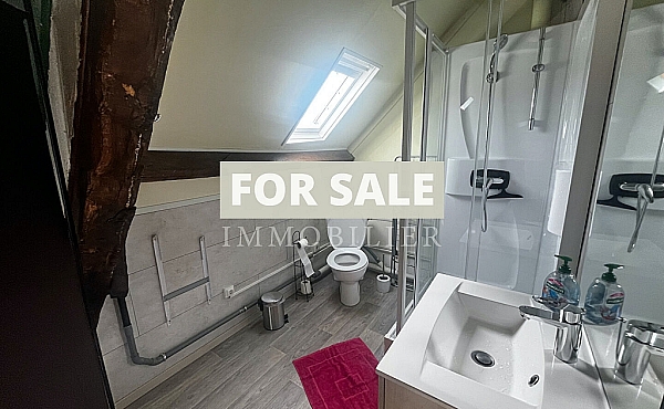 Property_For_Sale_in_France-with_Cle_France_Join_our_mailing_List_DJV05902_c