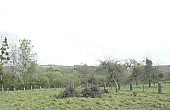 Property_For_Sale_in_France-with_Cle_France_Join_our_mailing_List_MNB07284_1.04