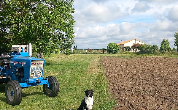 Property_For_Sale_in_France-with_Cle_France_Join_our_mailing_List_PSD00102__1006