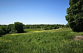 IMG_20260424_142552