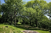 IMG_20260424_143145