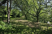 IMG_20260424_143223