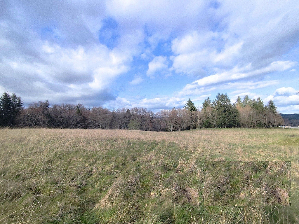 Property_For_Sale_in_France-with_Cle_France_Join_our_mailing_List_ERS00104_(3)