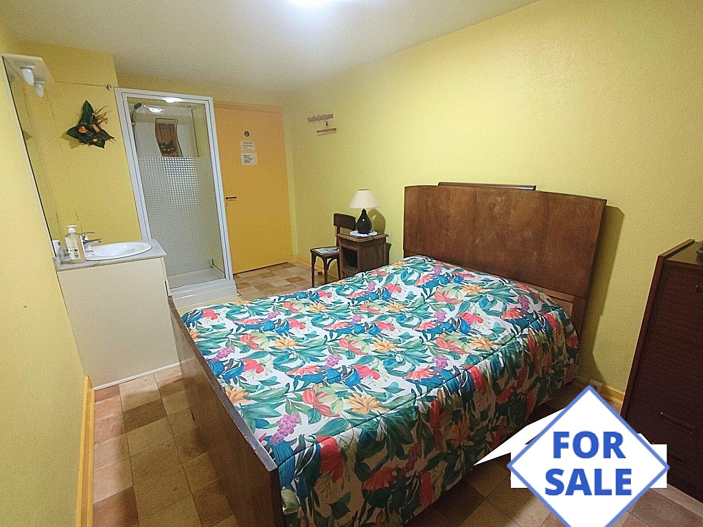 Property_For_Sale_in_France-with_Cle_France_Join_our_mailing_List_ERS00120_(9)