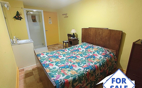 Property_For_Sale_in_France-with_Cle_France_Join_our_mailing_List_ERS00120_(9)