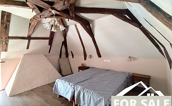 Property_For_Sale_in_France-with_Cle_France_Join_our_mailing_List_ERS00130_(9)