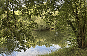 Property_For_Sale_in_France_with_Cle_France_Join_our_mailing_List_RFV01026_28