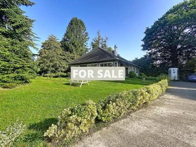 Property For Sale