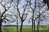 Property_For_Sale_in_France_with_Cle_France_Join_our_mailing_List_AXL05944_43