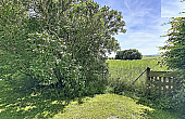 Property_For_Sale_in_France_with_Cle_France_Join_our_mailing_List_AXL06018_1.56