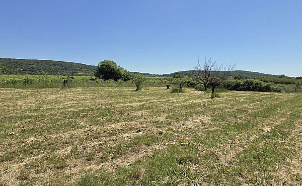 Property_For_Sale_in_France_with_Cle_France_Join_our_mailing_List_AXL06034_16