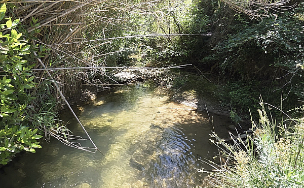 Property_For_Sale_in_France_with_Cle_France_Join_our_mailing_List_AXL06034_19