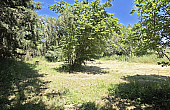 Property_For_Sale_in_France_with_Cle_France_Join_our_mailing_List_AXL06034_11