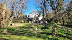 Beautiful House in a True Haven Of Peace By The Water