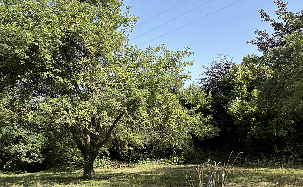 Property_For_Sale_in_France_with_Cle_France_Join_our_mailing_List_DJV04109_8.10