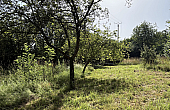 Property_For_Sale_in_France_with_Cle_France_Join_our_mailing_List_DJV04109_7.53