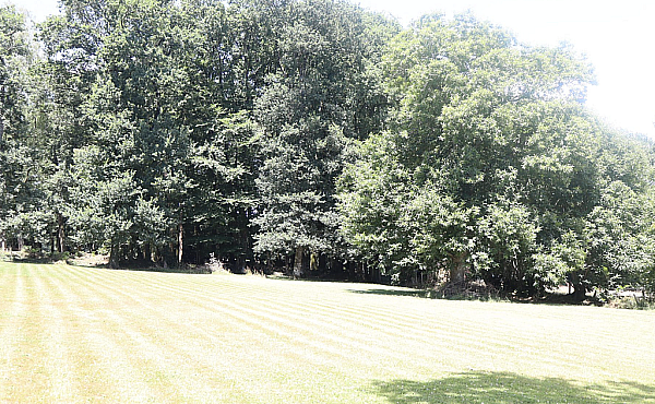 Property_For_Sale_in_France_with_Cle_France_Join_our_mailing_List_MNB07365_29