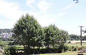 Property_For_Sale_in_France_with_Cle_France_Join_our_mailing_List_MNB07365_26