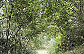 Property_For_Sale_Cle_France_BHJ04111_9.02