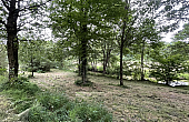 Property_For_Sale_Cle_France_BHJ04111_9.12
