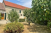 Property_For_Sale_in_France_with_Cle_France_Join_our_mailing_List_DJV06177_o