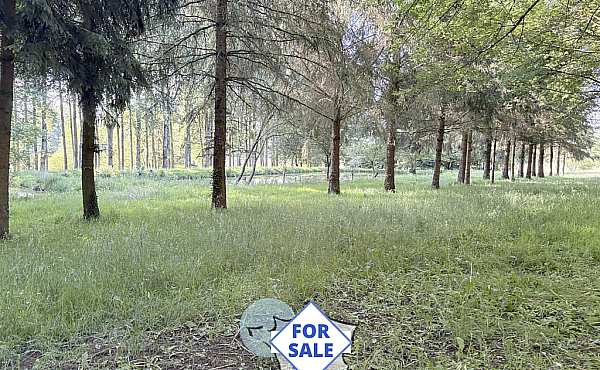 Property_For_Sale_in_France_with_Cle_France_Join_our_mailing_List_BHJ04115_1.58