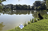 Property_For_Sale_in_France_with_Cle_France_Join_our_mailing_List_BHJ04115_0.45