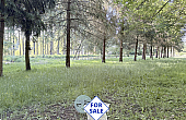 Property_For_Sale_in_France_with_Cle_France_Join_our_mailing_List_BHJ04115_1.58