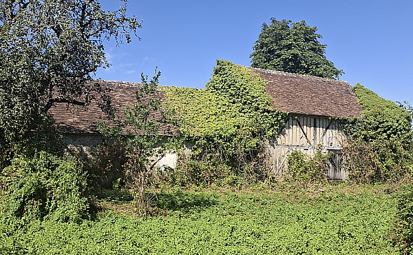 Property_For_Sale_in_France_with_Cle_France_Join_our_mailing_List_BHJ04116_09.56