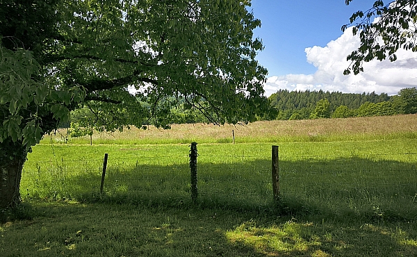 Property_For_Sale_in_France_with_Cle_France_Join_our_mailing_List_AMR00131_515_112011