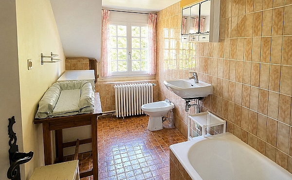 Property_For_Sale_in_France_with_Cle_France_Join_our_mailing_List_AMR00131_721_151831_1