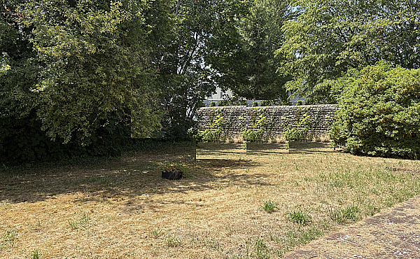 Property_For_Sale_in_France_with_Cle_France_Join_our_mailing_List_DJV06195_3