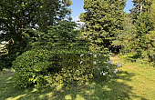 Property_For_Sale_in_France_with_Cle_France_Join_our_mailing_List_DJV06198_08