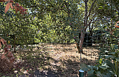 Property_For_Sale_in_France_with_Cle_France_Join_our_mailing_List_DJV06199_1.07