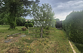 Property_For_Sale_in_France_with_Cle_France_Join_our_mailing_List_DJV06200_09