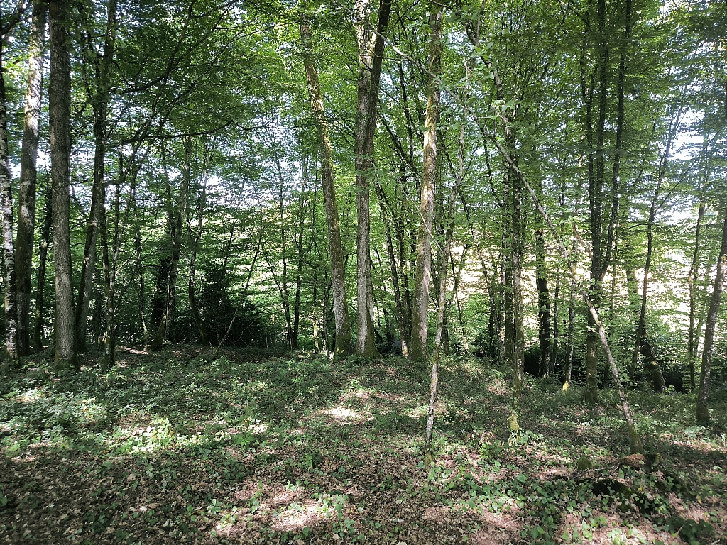 Property_For_Sale_in_France_with_Cle_France_Join_our_mailing_List_AMR00132_22_161402